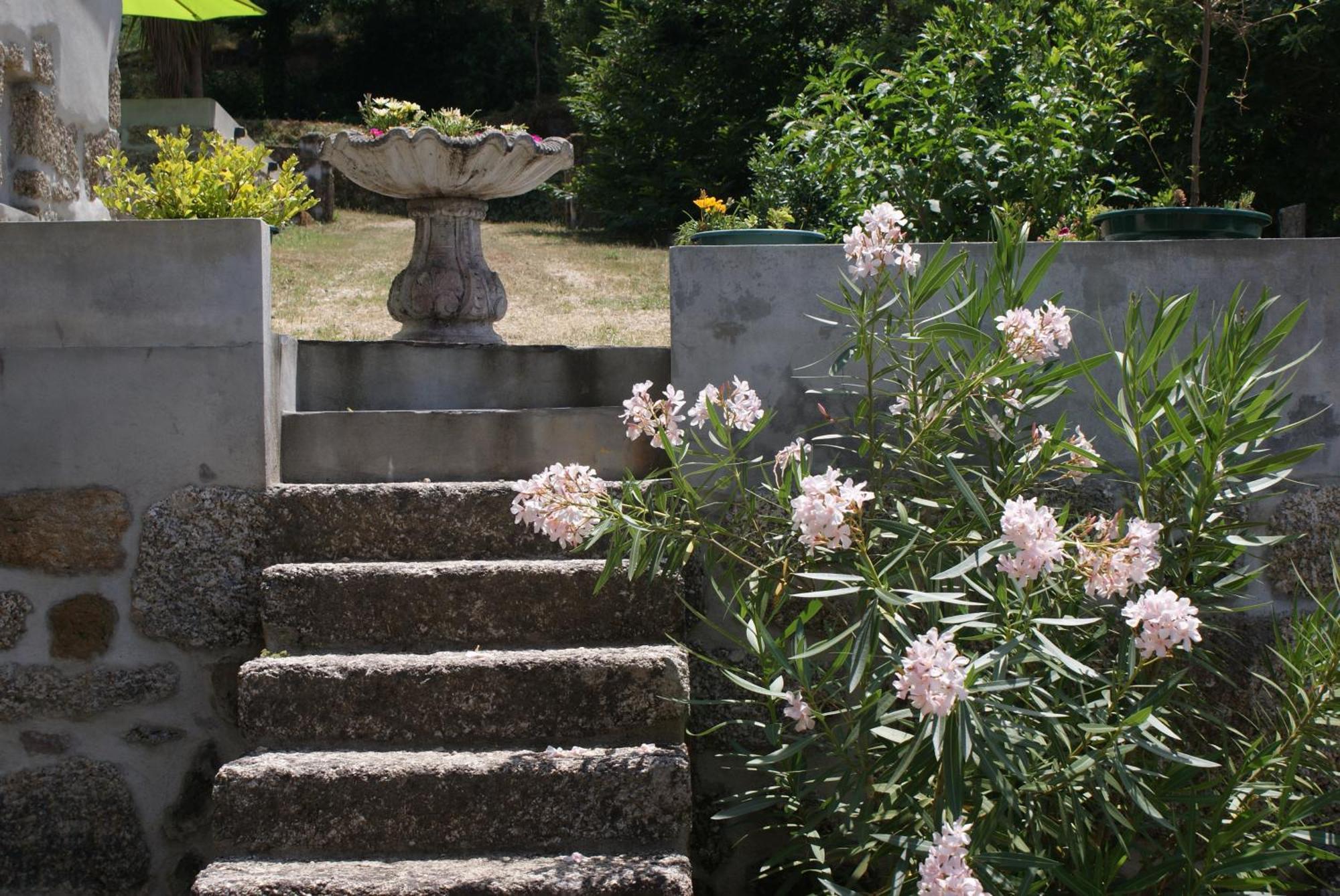 Quinta Da Encavalada Villa Nogueira do Cravo Exterior foto